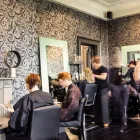 Business 2 image CEGA AIR AMBULANCE LTD Ambulance Services in CHRISTCHURCH Do