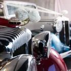 Business 6 image CELEBRATION VINTAGE CARS Wedding Supplies in Torquay De