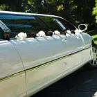 Business 8 image CHAMPION COACH HIRE Travel Agents in London Gr