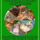 Business 1 image CHAPMAN LAW Surveyors & Valuers in Manchester La