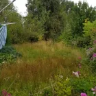 Business 12 image CHAPMAN & SONS Landscapers in Abbots Langley He