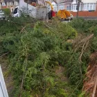 Business 21 image CHAPMAN & SONS Landscapers in Abbots Langley He