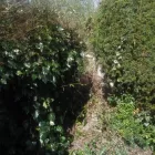 Business 25 image CHAPMAN & SONS Landscapers in Abbots Langley He