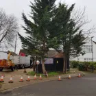 Business 27 image CHAPMAN & SONS Landscapers in Abbots Langley He