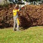 Business 29 image CHAPMAN & SONS Landscapers in Abbots Langley He