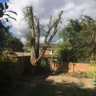 Business 34 image CHAPMAN & SONS Landscapers in Abbots Langley He