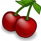 Business 1 image CHERRY ROOFING BEDFORD Roofing Materials in Bedford Be