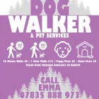 Business 3 image CHESHIRE DOG TAILS Pets & Animals in Altrincham Ch