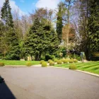Business 14 image CHESHIRE GARDEN CARE Tree Services in Stoke-On-Trent Sts