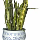Business 3 image CHINESE HERB CENTRE Acupuncture in Swadlincote De