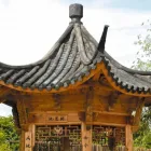 Business 1 image CHINESE HERB CENTRE Acupuncture in Swadlincote De