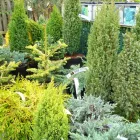 Business 5 image CHINESE HERBAL CENTRE Complementary Therapies in FAREHAM Ha