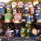 Business 1 image CHINESE HERBAL CENTRE Complementary Therapies in FAREHAM Ha