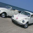 Business 17 image CHINESE HERBAL CLINIC Acupuncture in Manchester La