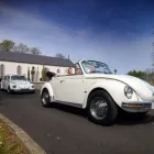 Business 18 image CHINESE HERBAL CLINIC Acupuncture in Manchester La