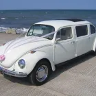 Business 20 image CHINESE HERBAL CLINIC Acupuncture in Manchester La