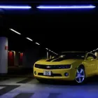 Business 9 image CHINESE HERBAL CLINIC Acupuncture in Manchester La