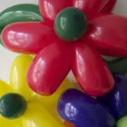 Business 6 image CLARE'S CIRCUS Wedding Services in Calne Wi