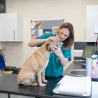 Business 15 image CLARENDON VETERINARY SURGERY Veterinary Services in Altrincham Ch