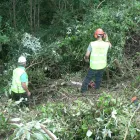 Business 12 image CLARKS Shoe Shops in Leicester Le