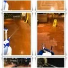 Business 54 image CLEAN SOCIETY Steam Cleaning in London Gr