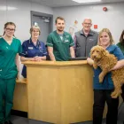 Business 3 image CLIFTON LODGE VETERINARY GROUP, HORDEN Veterinary Services in Peterlee Co