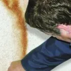 Business 2 image CLIMATE SOLUTIONS Wood Treatment & Preservation in Droitwich Wo