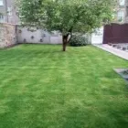 Business 6 image CLOVER HOLIDAYS Travel Agents in Perth Pkn