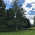 Business 38 image CLOVER HOLIDAYS Travel Agents in Perth Pkn