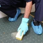 Business 3 image CLOVERLEAF Dog & Cat Grooming in Corby No
