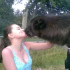 Business 3 image CO-OP PHARMACIES (MID COUNTIES) LTD Pharmacies in CANNOCK St