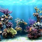 Business 1 image CO-OP PHARMACIES (MID COUNTIES) LTD Pharmacies in Gloucester Gl