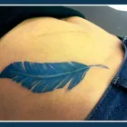 Business 2 image COAST CLUB Clubs & Associations in WHITLEY BAY Ty