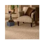 Business 12 image COLLEGIATE SPECIAL RISKS LTD Insurance Intermediaries in Wirral Me