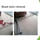 Business 11 image COMPETENT CLEANERS KNUTSFORD Upholstery Cleaners in Knutsford Ch