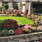 Business 3 image COMPLETE LANDSCAPING SOLUTIONS Home & Garden in WHITLEY BAY Ty