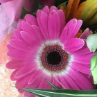 Business 6 image CONSERVATORY FLORIST Wedding Services in Ripley De