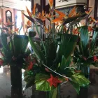 Business 16 image CONSERVATORY FLORIST Wedding Services in Ripley De