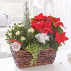 Business 29 image CONSERVATORY FLORIST Wedding Services in Ripley De