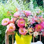 Business 49 image CONSERVATORY FLORIST Wedding Services in Ripley De