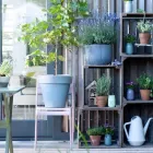 Business 50 image CONSERVATORY FLORIST Wedding Services in Ripley De