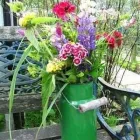 Business 51 image CONSERVATORY FLORIST Wedding Services in Ripley De