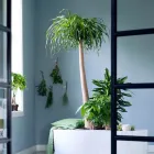 Business 61 image CONSERVATORY FLORIST Wedding Services in Ripley De