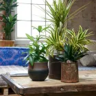 Business 69 image CONSERVATORY FLORIST Wedding Services in Ripley De