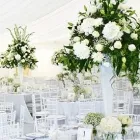 Business 77 image CONSERVATORY FLORIST Wedding Services in Ripley De