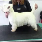 Business 7 image CONSETT PET & AQUATIC CENTRE Pet Shops in Consett Co