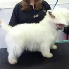 Business 2 image CONSETT PET & AQUATIC CENTRE Pet Shops in Consett Co