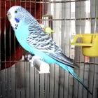 Business 5 image CONTRACOOL APPLIANCE REPAIRS Fridges & Freezers - Repairs & Parts in Burton-On-Trent St