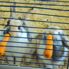 Business 4 image COOLTRADER Grocers & Convenience Stores in Stoke-On-Trent St