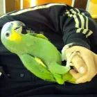 Business 5 image COOLTRADER Grocers & Convenience Stores in Stoke-On-Trent St